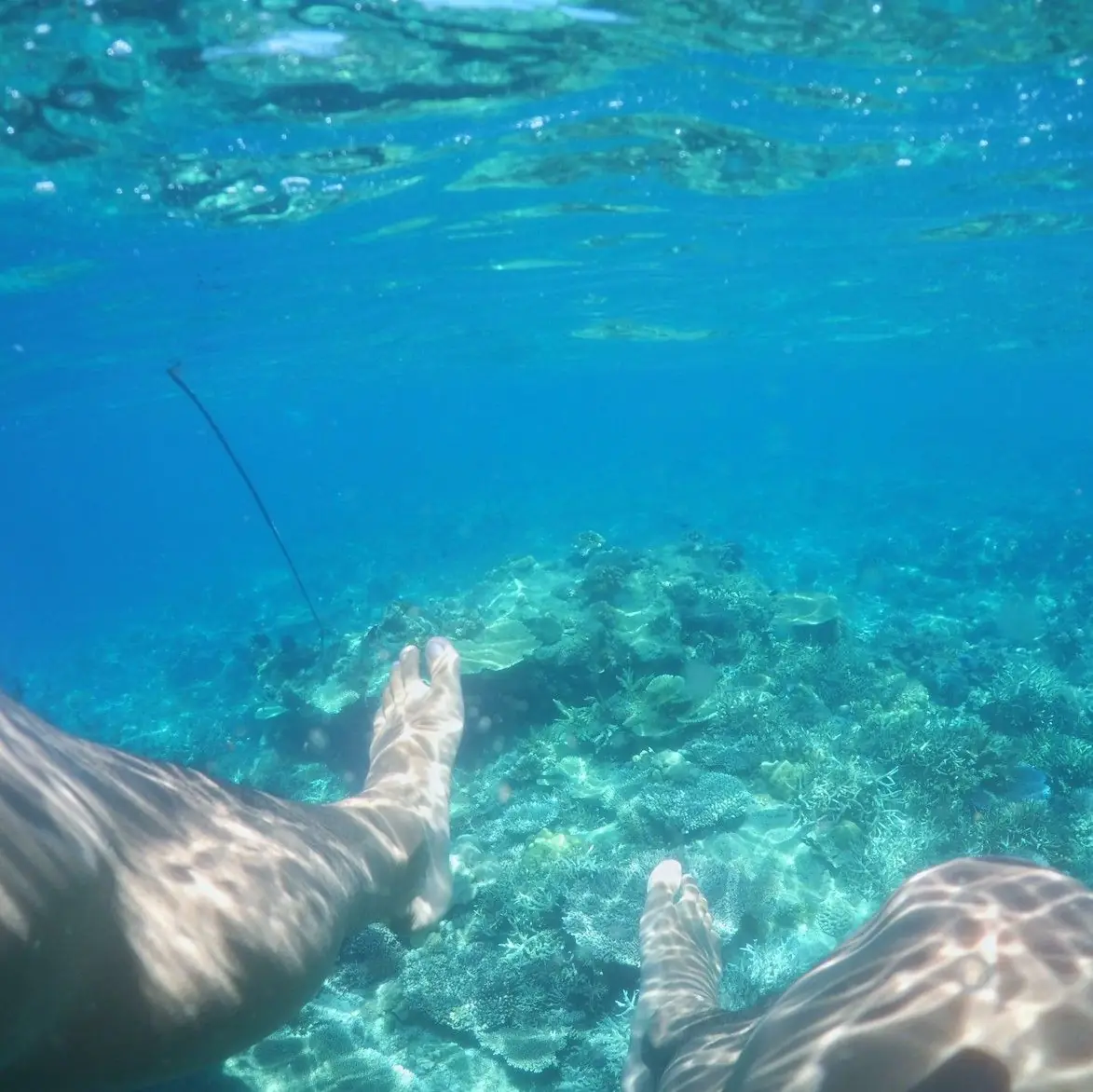 El Nido, Food for the Eyes