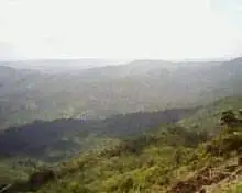 The Foggy Side of Infanta