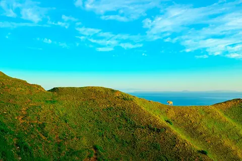 Vayang Rolling Hills on a bright day