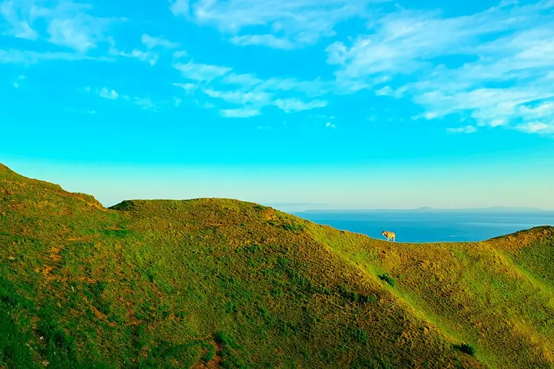 Vayang Rolling Hills on a bright day