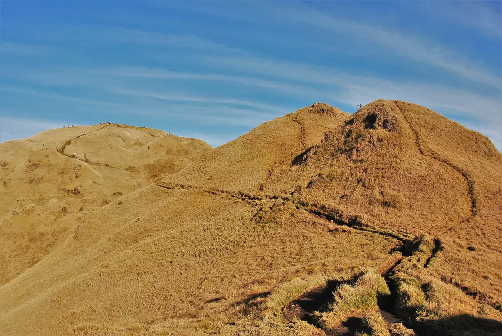 Grassland ridges of Mount Pulag National Park, Benguet