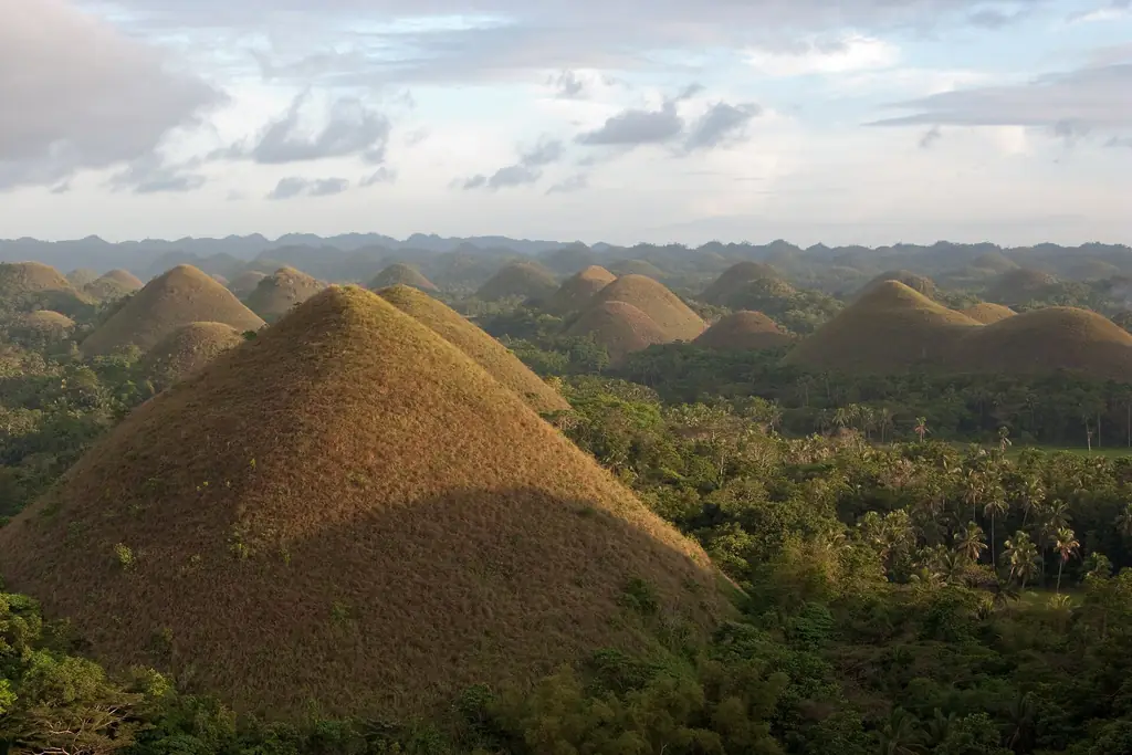 The Chocolate Hills of Bohol under a blue sky