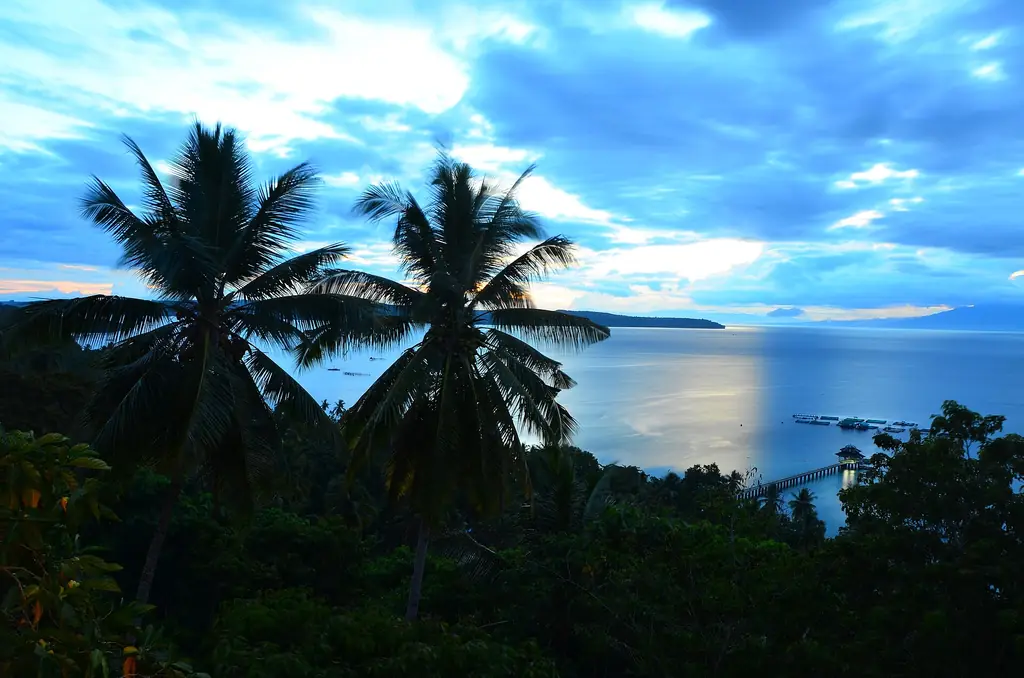 Palms on Samal Island looking toward Talikud Island at dusk