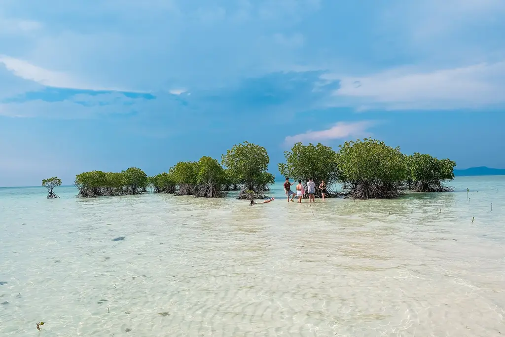 The sandbar and mangroves of Buntod Reef Marine Sanctuary, Masbate City