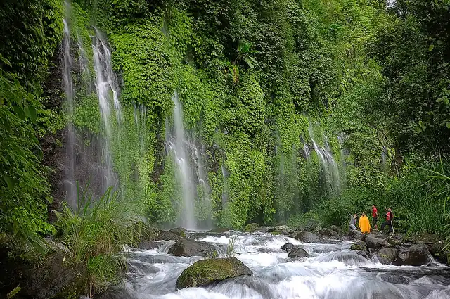 Piduan Falls in the forest of Mount Malindang
