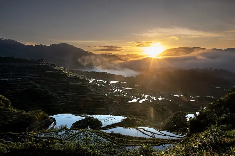 Sunrise over the flooded Maligcong rice terraces