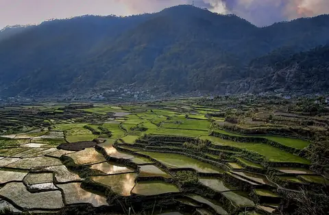 Rice terraces below the mountains of Sagada