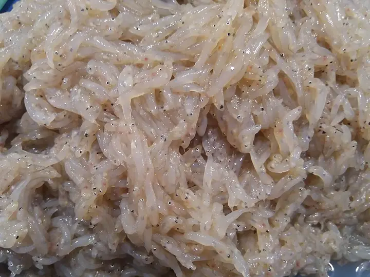 A heap of tiny sinarapan (tabyos) fish at the Iriga City public market